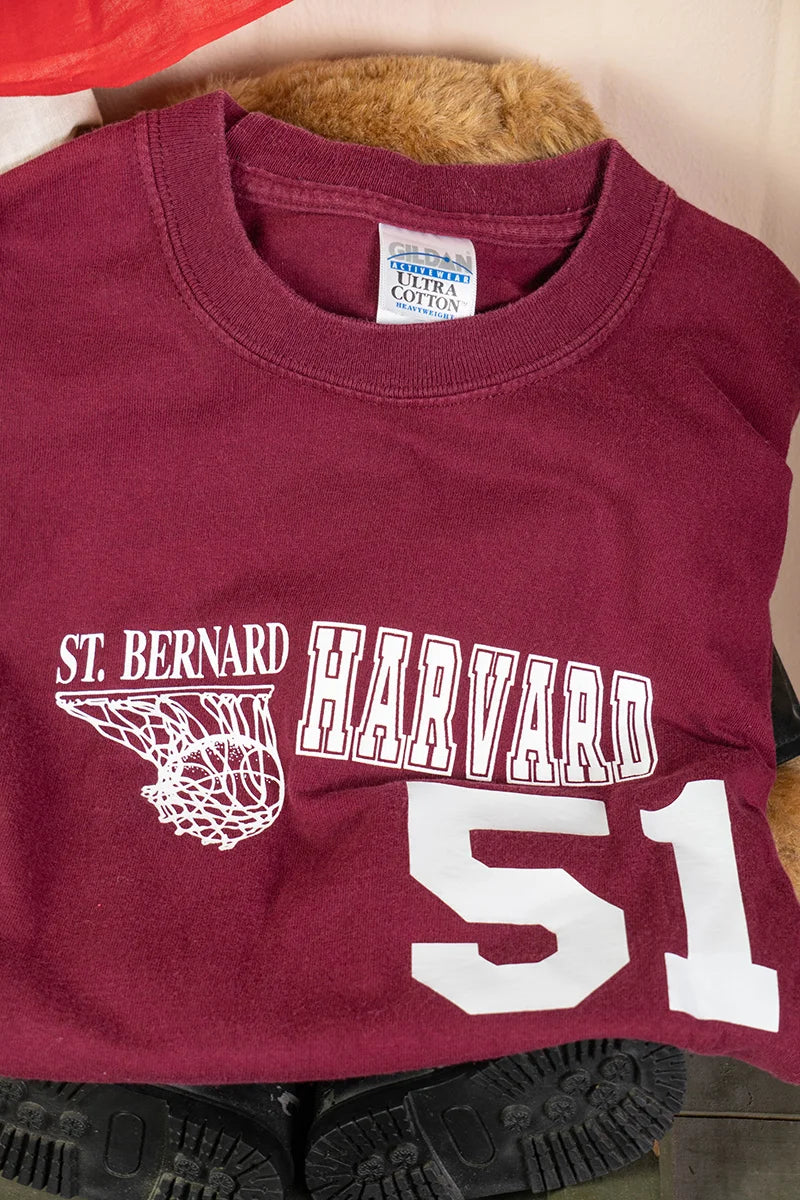 Harvard Gildan T-Shirt "M"